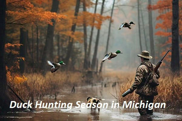 Duck Hunting Season in Michigan